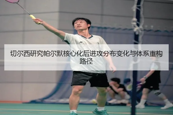 qie-er-xi-yan-jiu-pa-er-mo-he-xin-hua-hou-jin-gong-fen-bu-bian-hua-yu-ti-xi-zhong-gou-lu-jing-2-495.jpg
