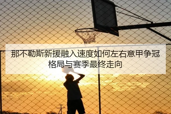 那不勒斯新援融入速度如何左右意甲争冠格局与赛季最终走向