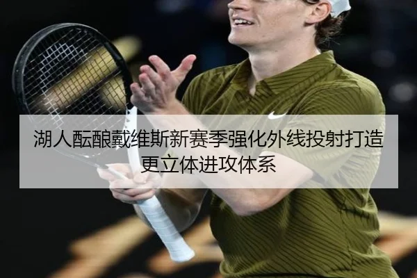 湖人酝酿戴维斯新赛季强化外线投射打造更立体进攻体系