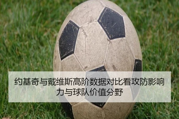 约基奇与戴维斯高阶数据对比看攻防影响力与球队价值分野